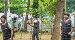 Throw Ball